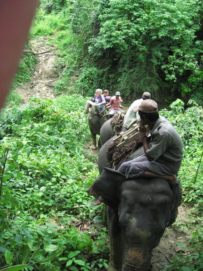 今度は山の中へ。<br />