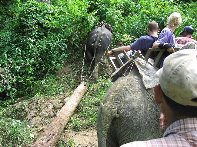 がんばれがんばれ。<br />水陸両用の最強の4WDだ。