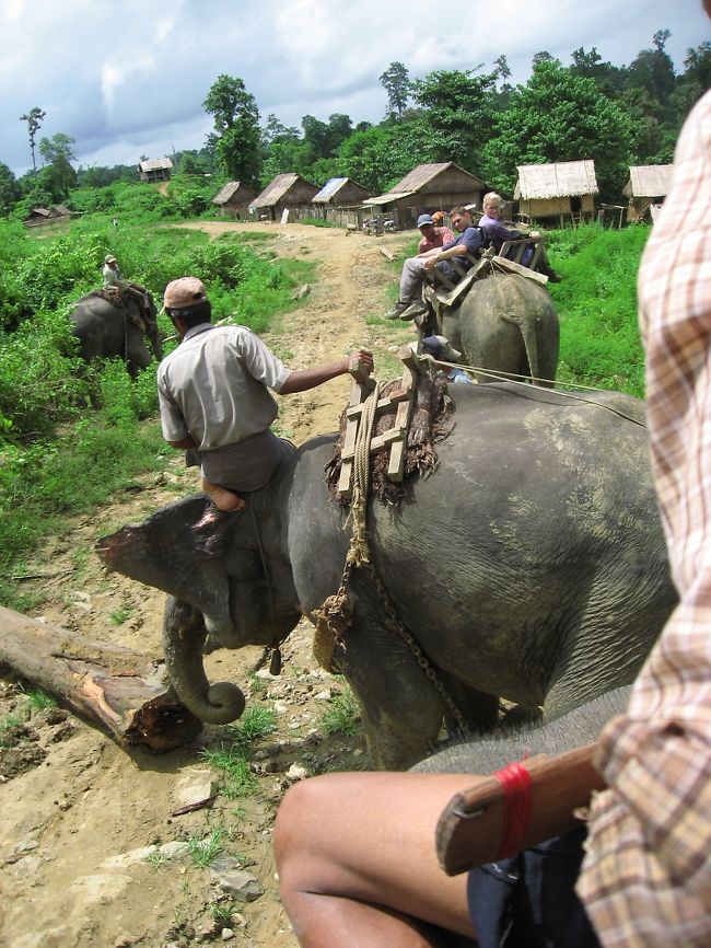 村に帰ってきた。<br />道端の邪魔な丸太を、鼻で脇に片付けることもできる象さん。<br />うーむ、小技もこなすとは。すごすぎるぞ、象さん。