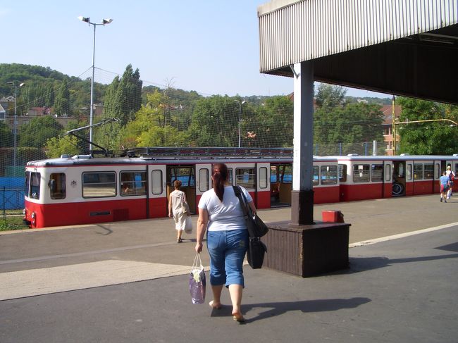 いよいよ電車に乗車です。何だかわくわくするな〜。これからどんな道を走っていくのか、どんな景色が見られるのか・・・登山鉄道って響きが一段と気持ちを高揚させますな〜。