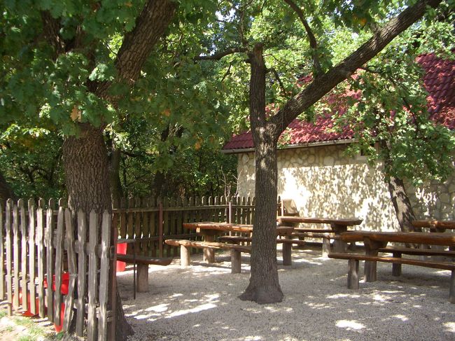 小さな売店横にあった休憩所。木陰が優しい風を運んでくれます。