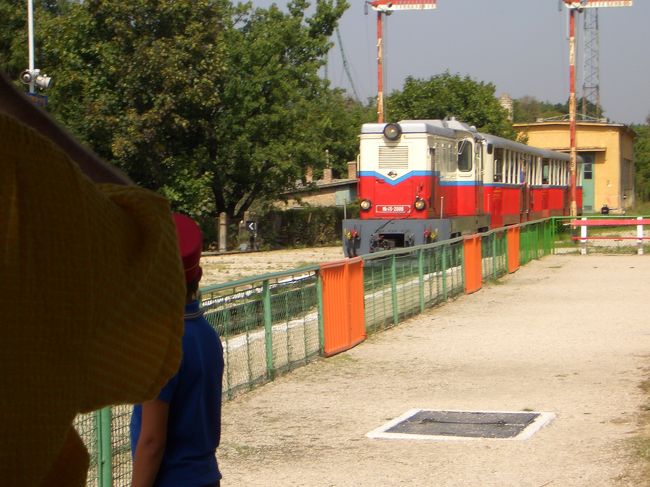 しばらく待っていると、可愛らしいおもちゃのような列車がホームに入ってきましたよ☆観光客は夢中でシャッター。