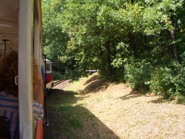 山道を走る子供鉄道。山道の日陰は涼しくて気持ちい〜な〜☆