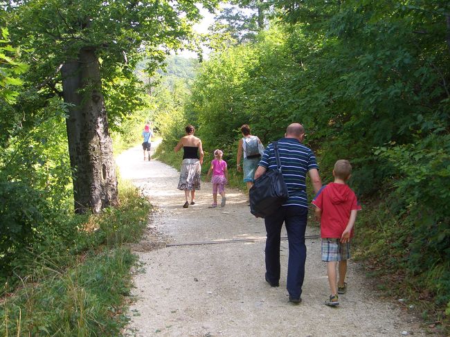 途中で一組の家族に抜かれました〜〜。ひぃ〜もう歳かな〜・・・なんちって。頑張って歩きます。
