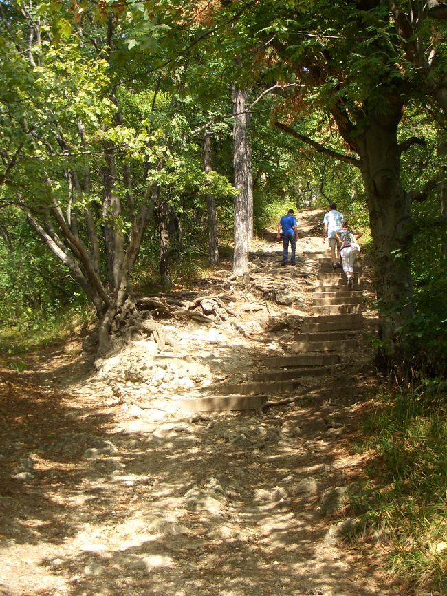 ブダペスト一帯を眺望するためには、まだまだ上に登らなければいけません。ここからは足場もちょっと悪めに。まだつかないよん；；；