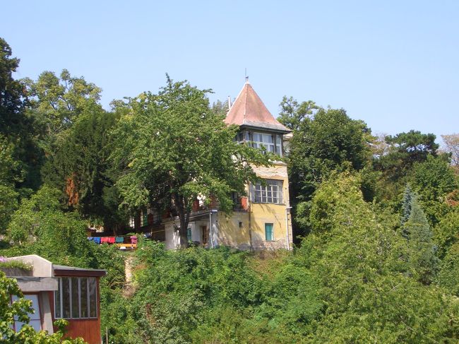 山の中腹にそびえる民家。