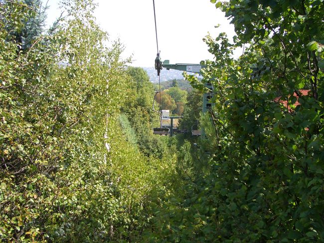 おお〜！！木にぶつかりそう！！手に届くくらいの距離に草木が。。