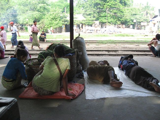 お仲間はたくさん。