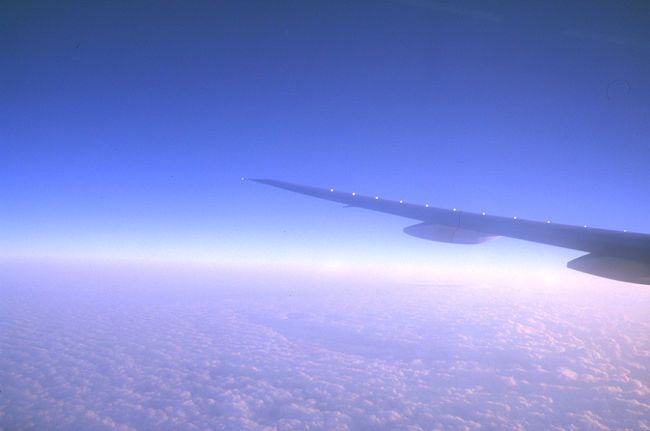 初海外なので撮らせて下さい！<br />飛行機も久しぶりだったんです。