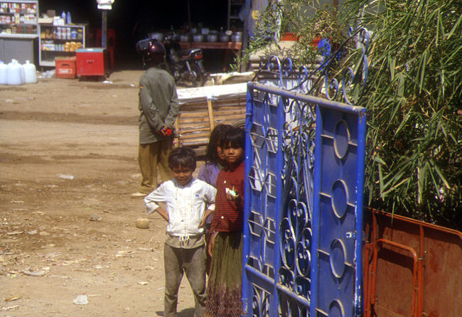 カメラを構えると隠れ、またカメラから手を放すと<br />こっちを見る、そんなことを繰り返していました。