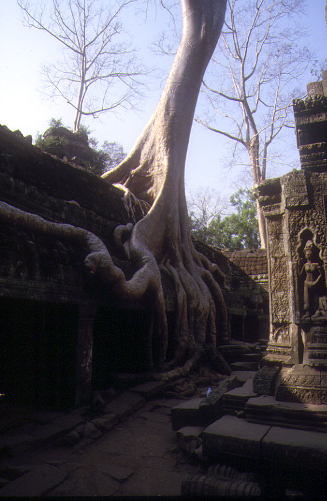 ラ、ラピュタだ。と思った<br />タプローム遺跡です。