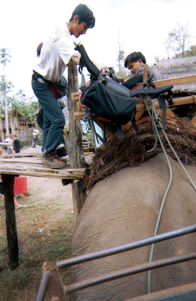 初めて象さんに乗りました。