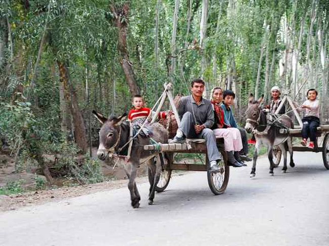 カシュガルのロバ車 喀什 中国 の旅行記 ブログ By 牛街さん フォートラベル