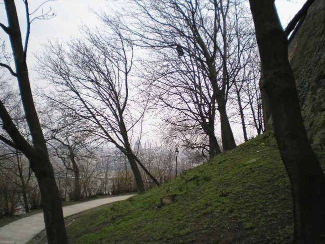 王宮へ続く坂道