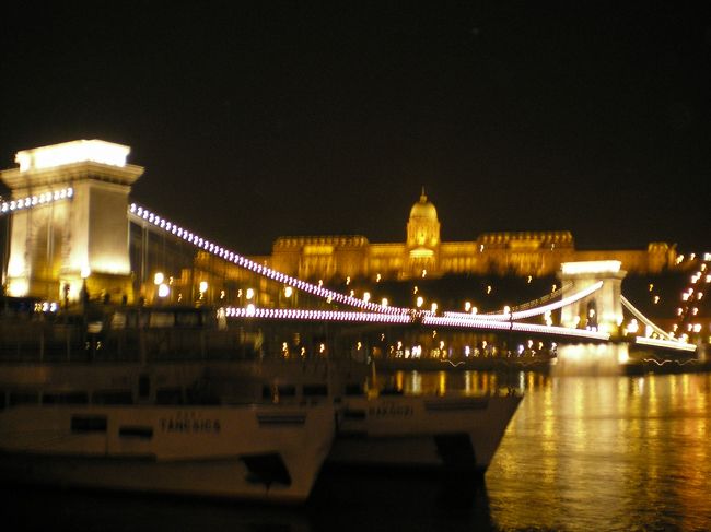 くさり橋と王宮の夜景