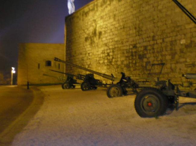 旧ソ連製の火器・・・だと思う。<br /><br />もともとゲッレールトの丘の女神像はソ連軍の戦勝記念碑だったらしいので。