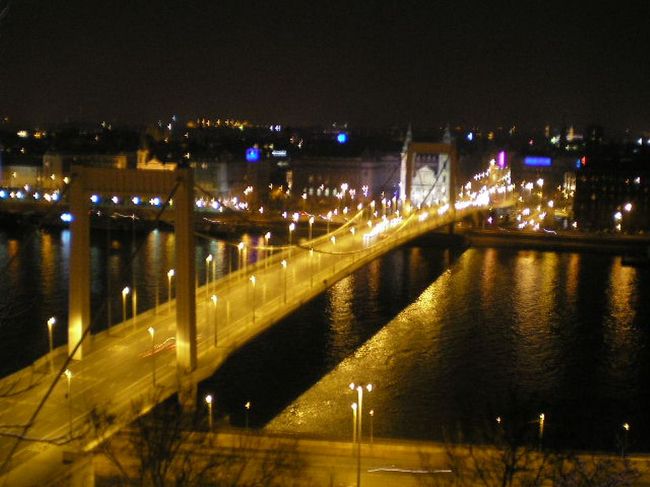 エルジェーベト橋<br /><br />ハプスブルクのエリザーベト皇妃を記念して豪華に作られたものの、戦争で破壊されて再建された今はシンプルになっているそうだ。