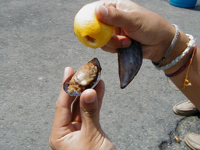 これがおすすめのムール貝！<br />中にはコショウのよく効いたチャーハンの<br />ようなものが挟んであり、うまいのなんの！<br />一度に一人で20個くらい食べてました。<br />あまりに大量に買うので、レモンも一個<br />もらっちゃいました。レモンの切り方も面白くて、<br />握るとレモン汁が出てきます。