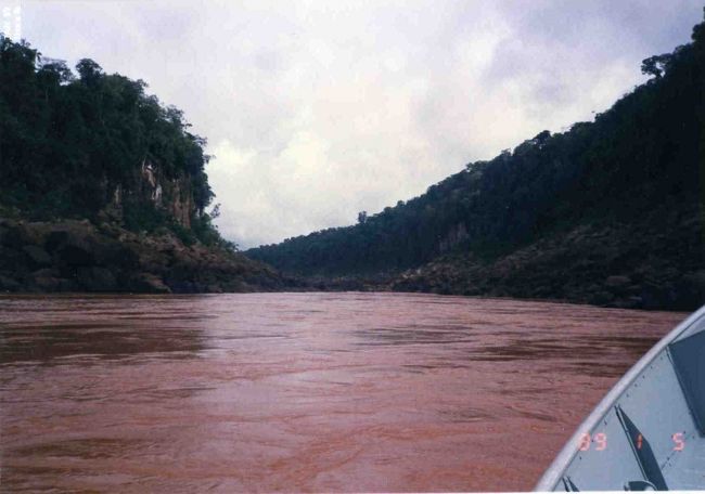 水の色は、茶色だ。