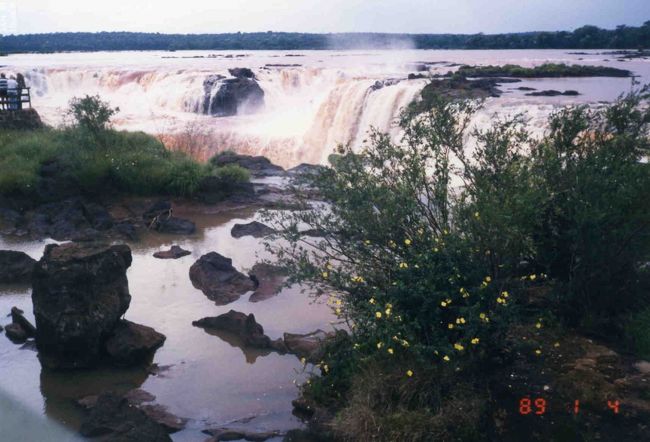 カメラの範囲に、入りきれない。