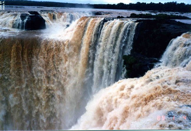 コメントのしようがないです。