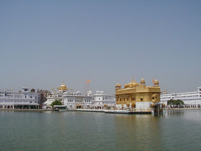 ゴールデンテンプル