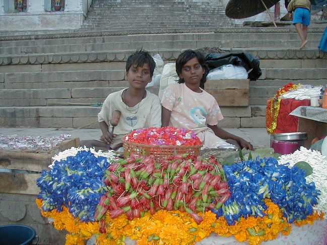 写真撮るなら金よこせ！と言われながら撮りました。<br />最後は笑ってました。