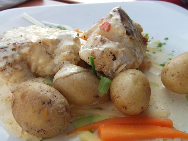 このよくわからない白身魚も一皿4000円くらいします。<br />ちっとも満腹になりませんでしたが、ふたりで一万円くらいかかってしまいました。<br />号泣〜〜(T_T)