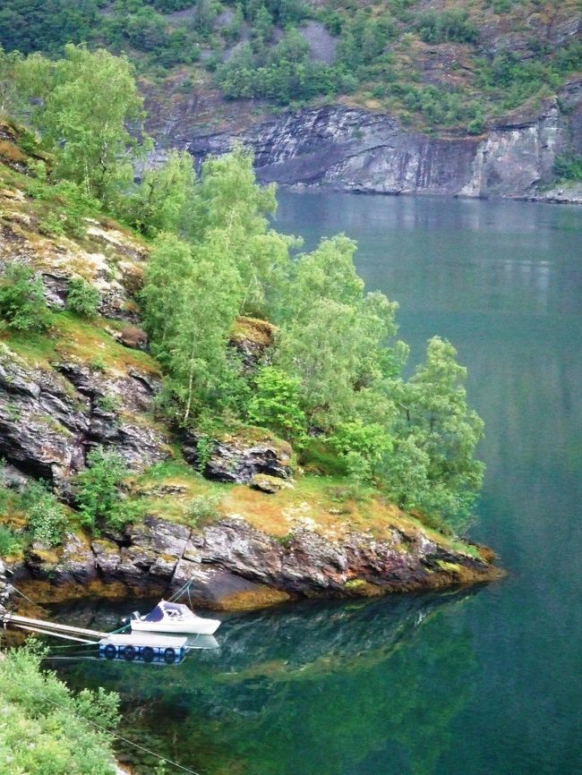 水面にひょっこりアザラシが現れました！<br />野生のアザラシ〜♪<br />写真はムリだったけど、、<br />