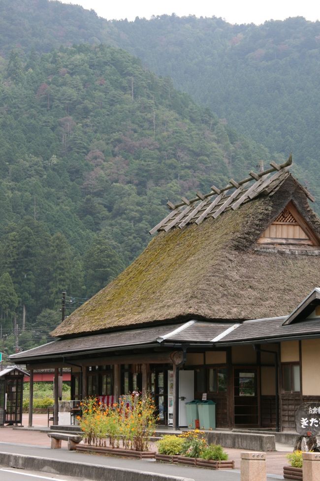 茅葺きの里に着いたのはお昼。<br />歩き回る前にまずは腹ごしらえ（笑）ということでお食事処きたむらへ。