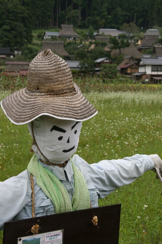 お腹も満たされ外に出るとまずはカカシ君のお出迎え。<br />可愛いカカシ君です。