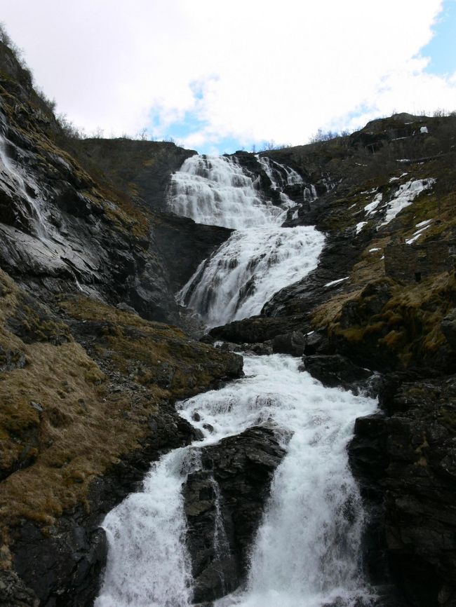踊るお姉さんは見ることができず･･･残念･･･
