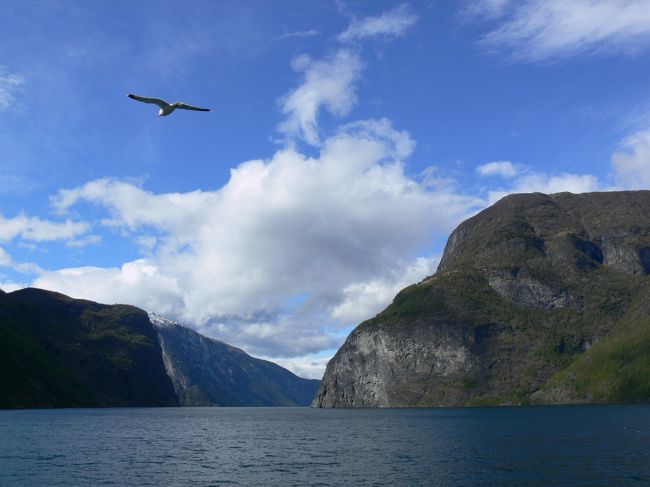 この船にカモメがずっとついてきます。<br />何人かは餌をあげていました。。。いいのか？