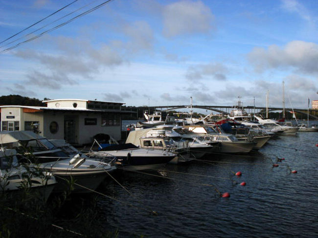 気持ちの良い朝でした。
