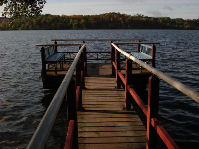 なにやら発見。