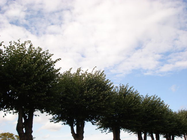 自然がいっぱい。