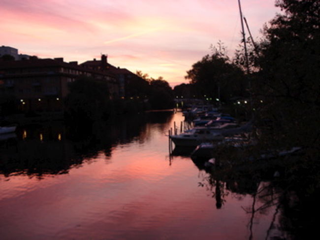 夕方キレイでした。