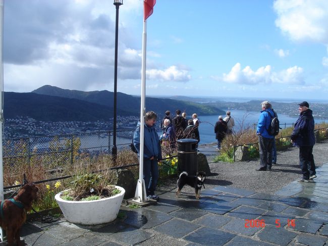 ワンちゃんを連れてきている人も。<br />トレッキングでもするのかな？