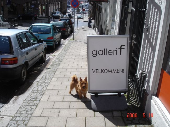 番犬。。道を通してくれそうにありません･･･