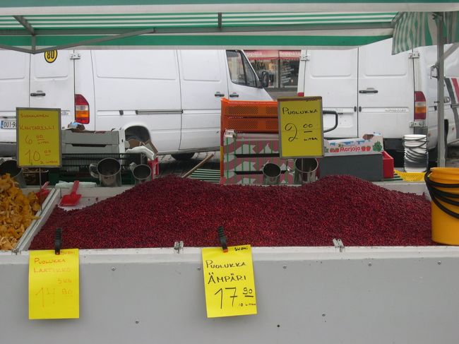 Puolukka（こけもも）のやま！