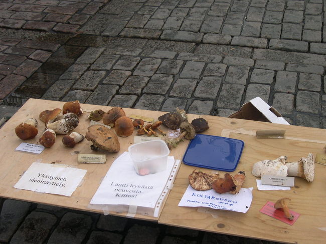 なんと「きのこアドバイザー　Sienineuvontaja」の店があった。いろいろなきのこが展示されている。赤いカードのは毒キノコ。毒によってひとつ星から三ツ星まである。