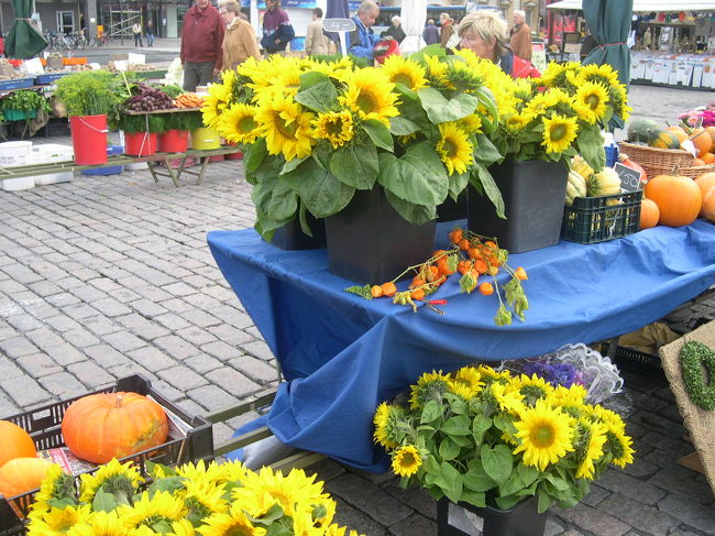 ひまわりのはな。フィンランド語でも太陽の花（auringonkukka).<br /><br />友人がどこに行きたいと聞くので、名所旧跡でないところにつれていけ、以前Turkuは観光したことあるからといったら「図書館」と「大学」それと大学の裏の教会といったので、Hyva!Selva!といってそうすることとした。16時に友人とヘルシンキ駅で待ち合わせしているので、14時までの散歩である。