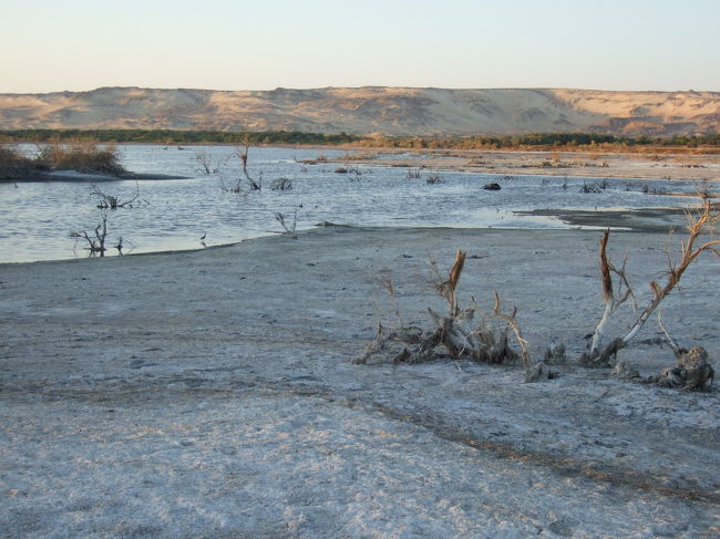 湖には立ち枯れした木々が。<br />面白い光景ですが、なんだか寂しい風景です。<br /><br />