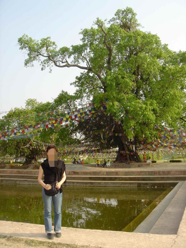 聖母マーヤ夫人が沐浴したと言われるプスカリニ池<br />現在の池は１９３９年レンガ造りにされた<br />後方は聖なる菩提樹