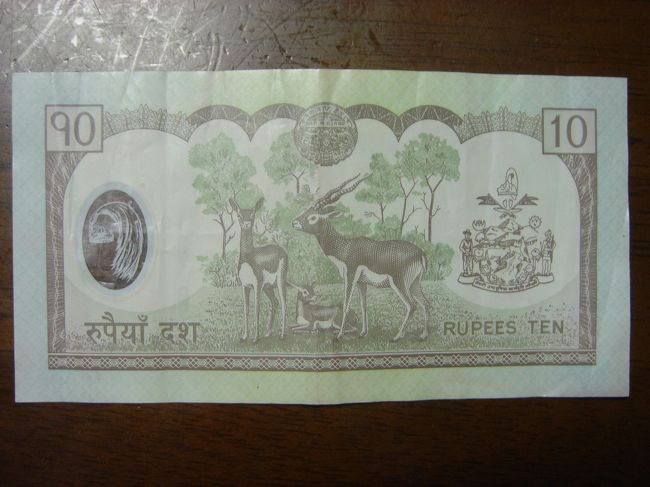 ねっ、まぎらわしいでしょ