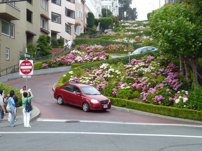 「SFは坂の街」を象徴している観光名所「ロンバード・ストリート」<br />紫陽花が綺麗でした。
