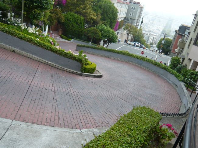 めっちゃ急坂。くねくね。