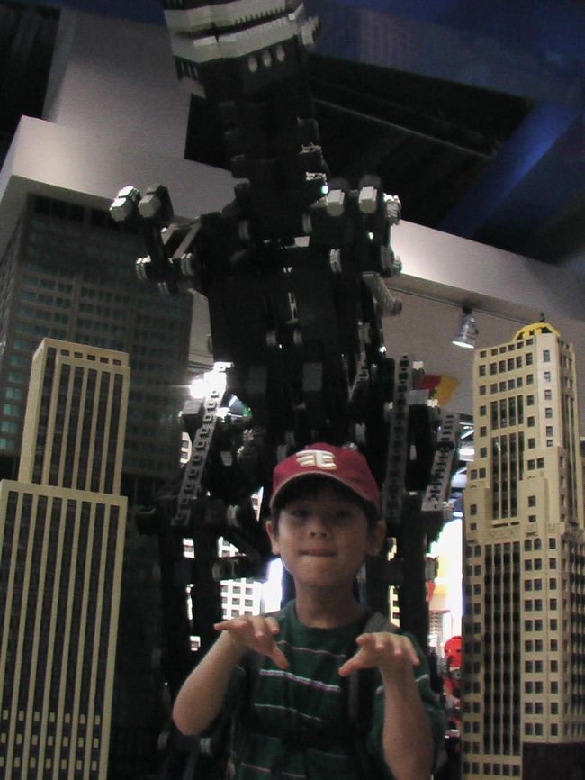 無地朝7時半にシカゴに到着。<br />3日しかいないので、最初から買い物です。<br />写真は、マグニフィセントマイルにあるレゴショップで、日本で未発売のものがありすかさず購入！！<br />ディスプレイ物が結構大きく面白いです。