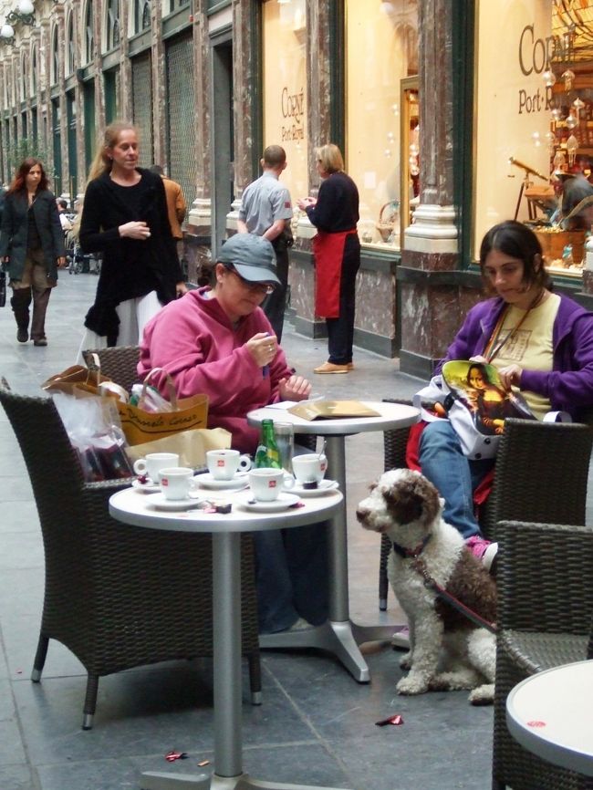 ワンコ３連発！