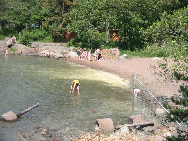 子供たち、泳いでいたけど、海の水が黄色かったのよね・・・赤潮っていうか、黄潮？<br />いいのかしら、泳いで。